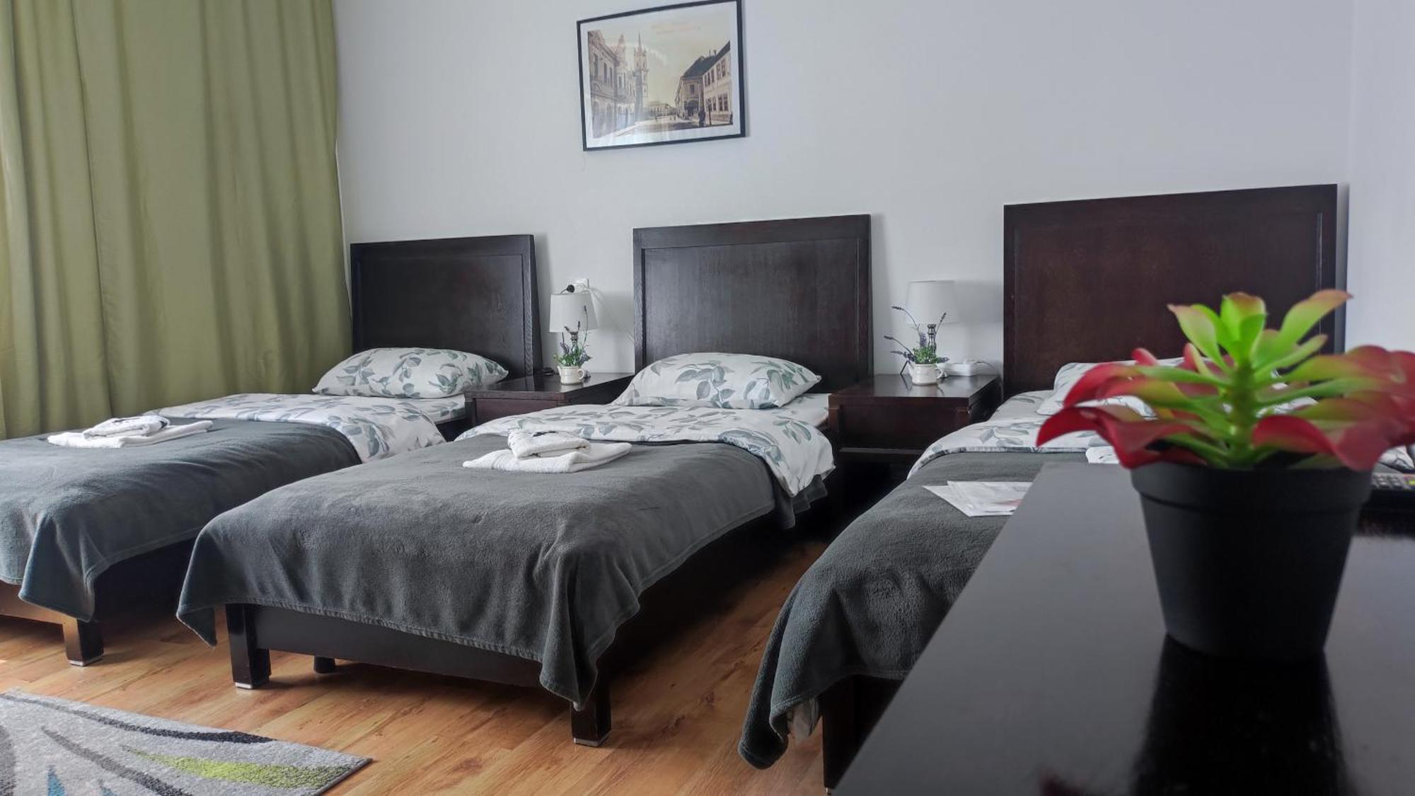 Casa De Oaspeti Wallendorf Bistrita Unirea Room photo